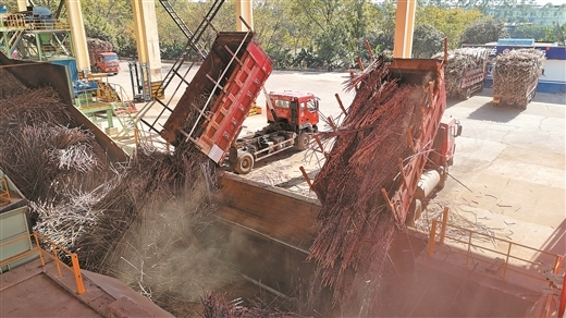 广西壮族自治区人民政府门户网站