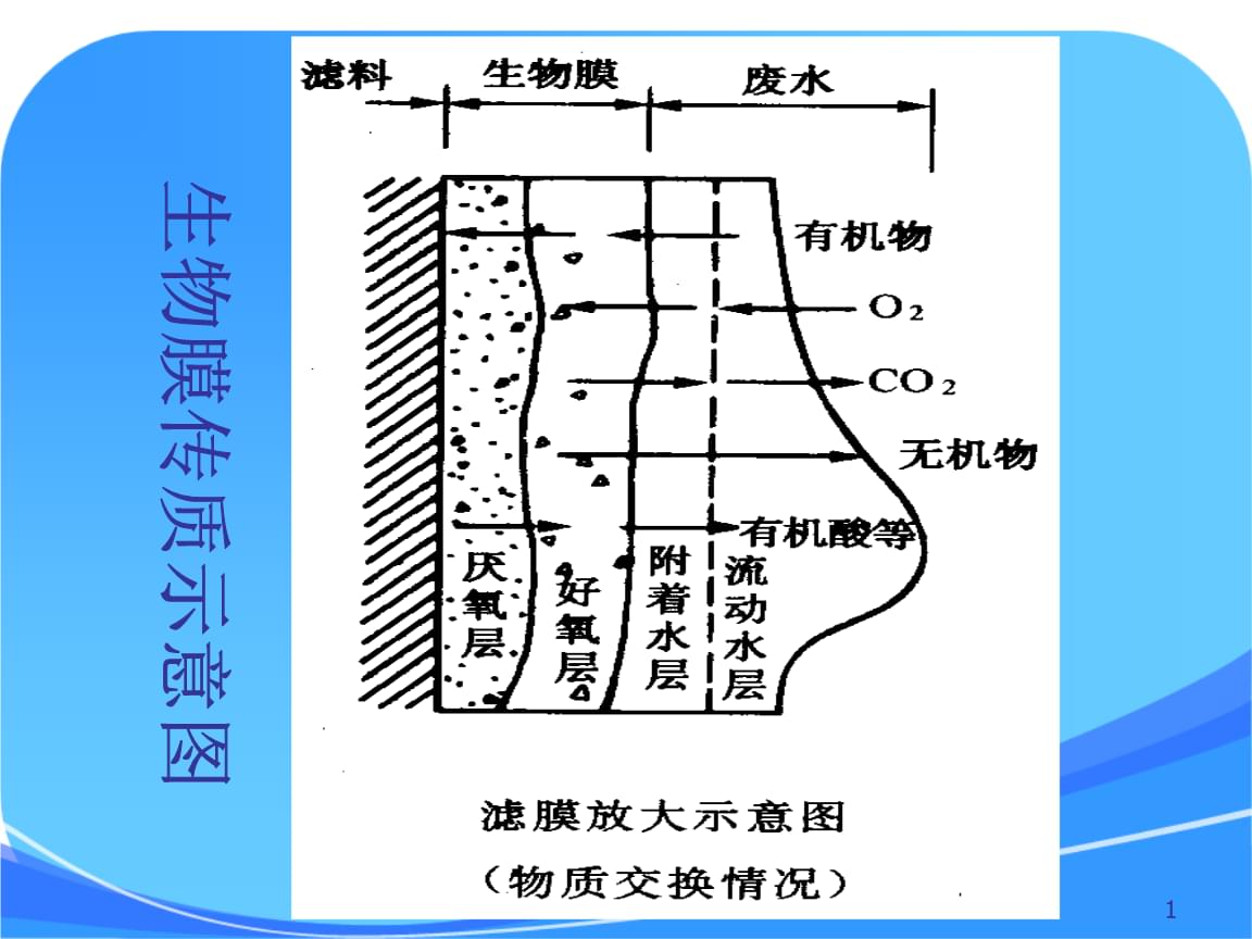蜂胶大趋势发布会在北京人民大会堂隆重召开